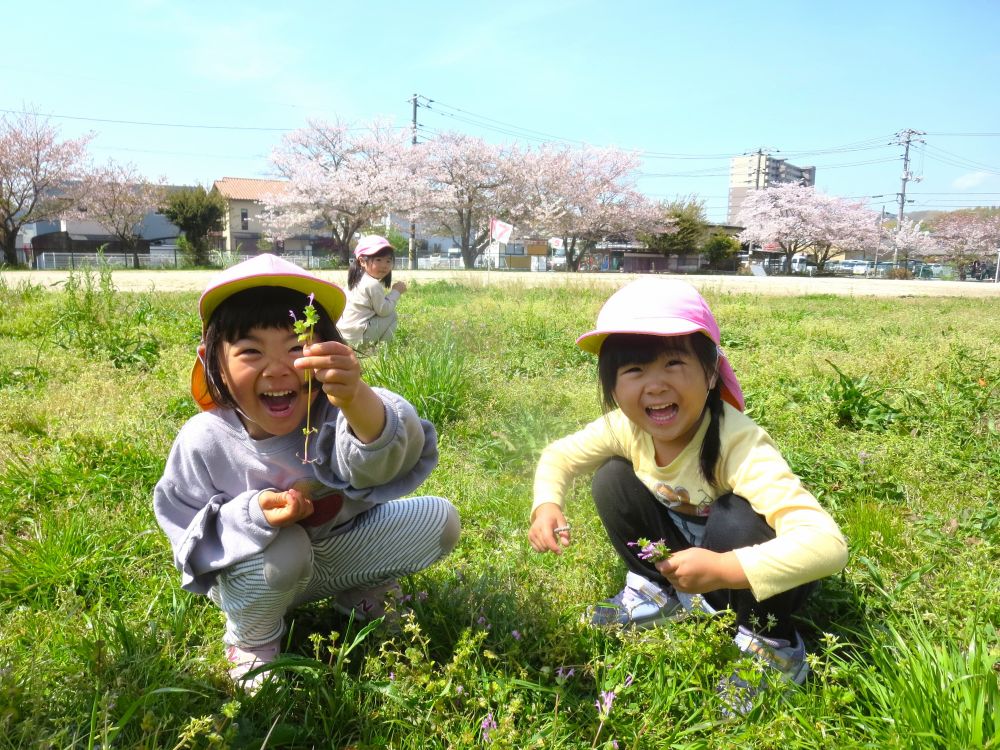 「なが～～～いのが取れたーー！！」
大笑いをしながら見せてくれたAちゃんとYちゃん
「甘いね～！」
「おいしいー！」
蜜も吸ってみた♡


全力の笑顔…
この笑顔がたくさん見れたらいいな♡
