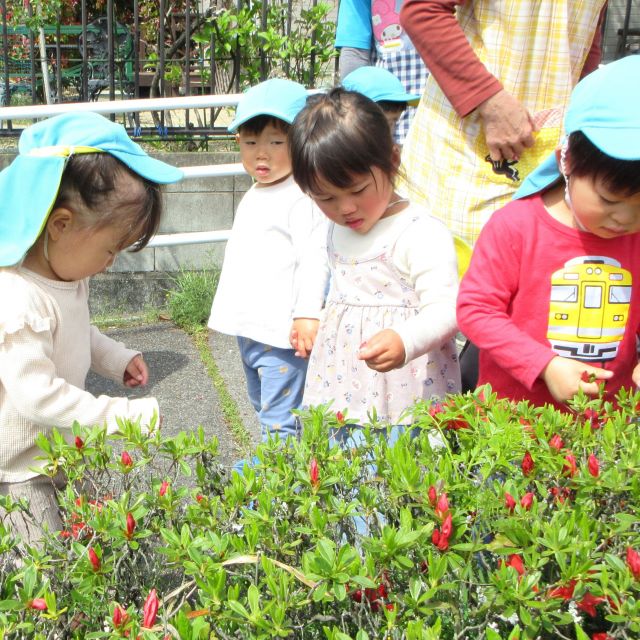 ＊　２歳児　お弁当の日①　＊