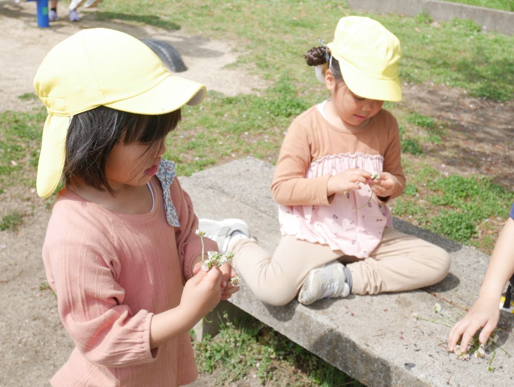 「シロツメクサあるよ」「冠作りたい♡」
MちゃんとYちゃんは手先を器用に使い
ほどけても繰り返し、何度も挑戦していました