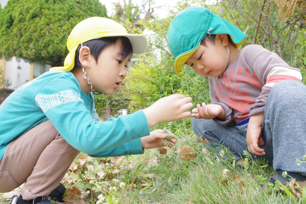 楽しみにしていたお弁当の日🌸
キリン組さんとリス組さんは一緒に西則末公園に行ってきましたよ！

てんとう虫を見つけたけど、なかなか捕まえられなかったYくんに、

Kくん「はい、どうぞ～」

嬉しかったYくんはその後もKくんとてんとう虫探し♡

