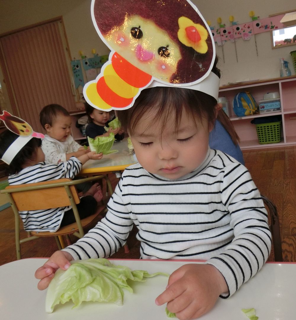 今日は食育の日。

「春キャベツ」

給食先生に、春キャベツをみせてもらったよ♪
キャベツ・・・
ちょっと触ってみよう・・・
