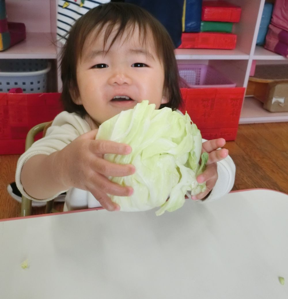 キャベツ・・・
持ってみよう・・・！！！

力持ち！！！