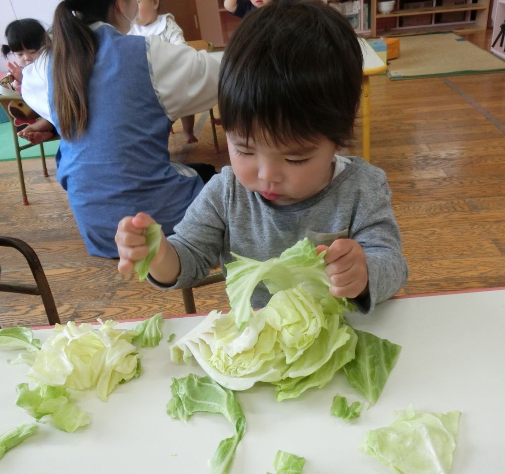 ちぎってみようかな・・・

指先を使って上手にちぎちぎ・・・