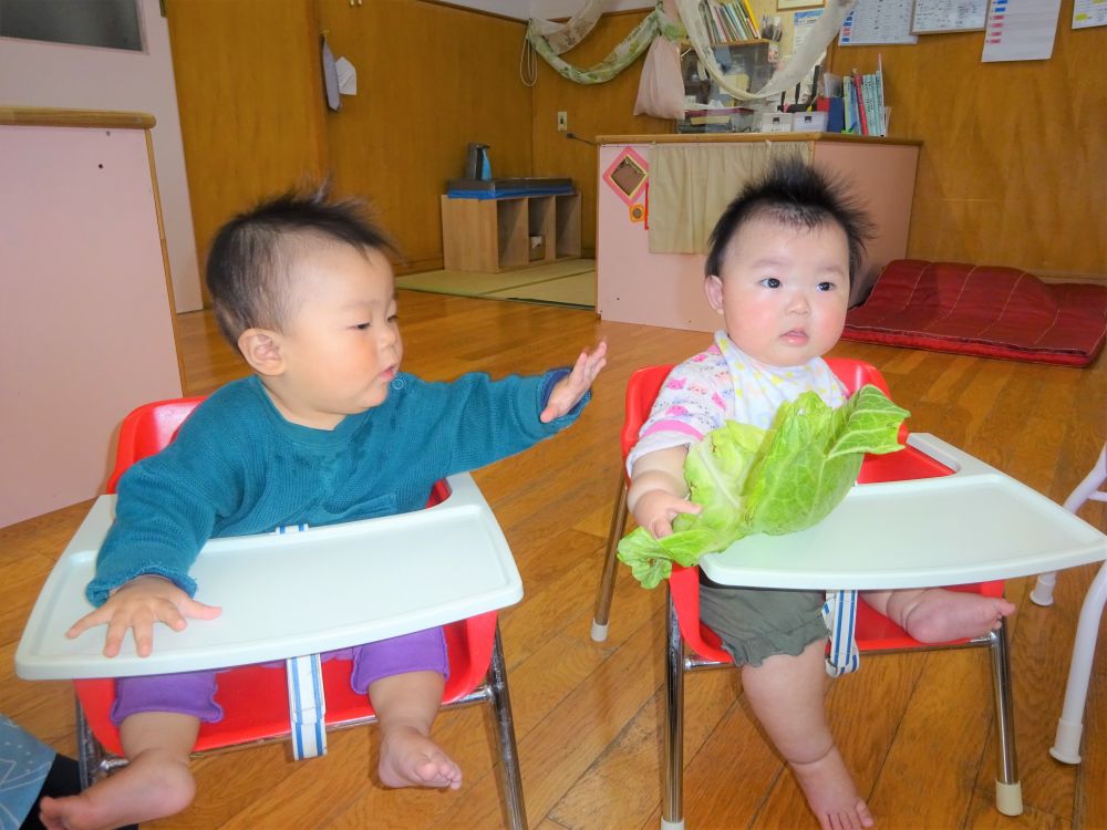 「なんだろ～」
と手を伸ばして触ろうとする姿･･･
なんでも興味津々のIくんです。

先生の顔を見て大丈夫なの？
といった表情のRちゃん。