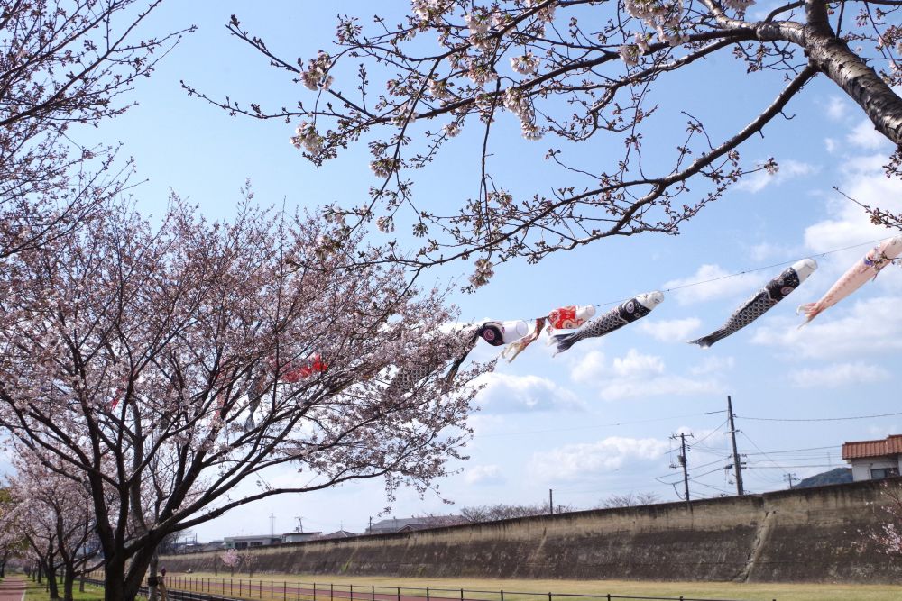 オープン保育が5月にあります♡
親子で一緒に園で遊んだり・・　お話したり・・
同時に子育てについて・・　園の入園について・・相談に対応します

ゆめはうす認定こども園に遊びに来て下さいね
詳しくは園までお問い合わせください♡