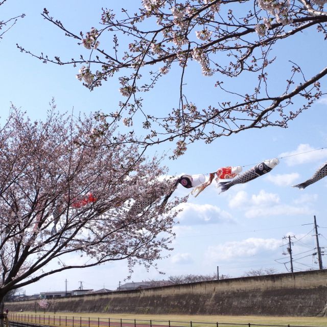 ＊　ゆめはうす認定こども園で遊ぼう　＊