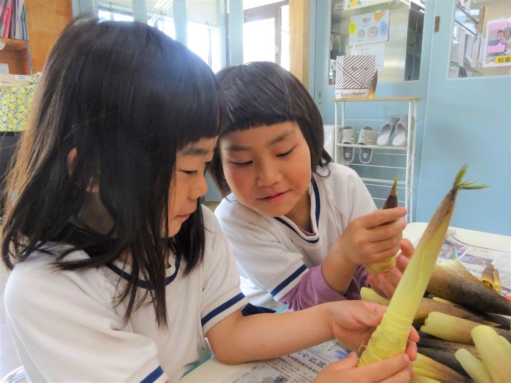 ぽかぽか暖かくなりました。
春の旬の野菜も美味しい季節です♡

保護者の方から旬の筍をいただきましたのでキリン組さんと一緒に皮向きをしました。

｢たけのこ見たことあるよー｣
｢でもみんな皮が付いたままのたけのこってどうやって食べるんかね？｣
と言うと・・・
｢皮をむくんじゃない？｣

みんなでやってみよう！！