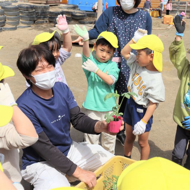 ＊　5歳児　夏野菜を植えたよ　＊