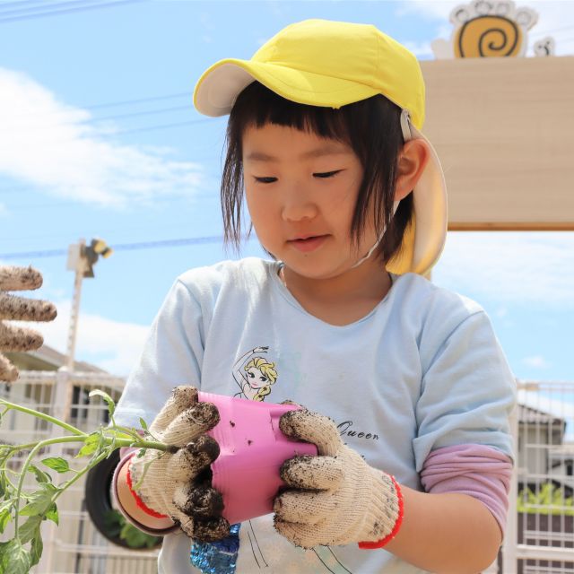 ＊　5歳児　夏野菜を植えたよ②　＊