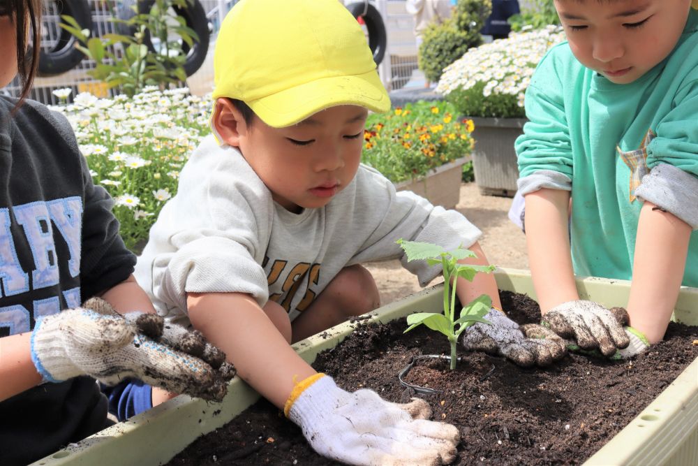 A君「よし、できた」

毎年あるある・・・
ポットのまま植え付けちゃいました(笑)

(後できちんと植え替えました)