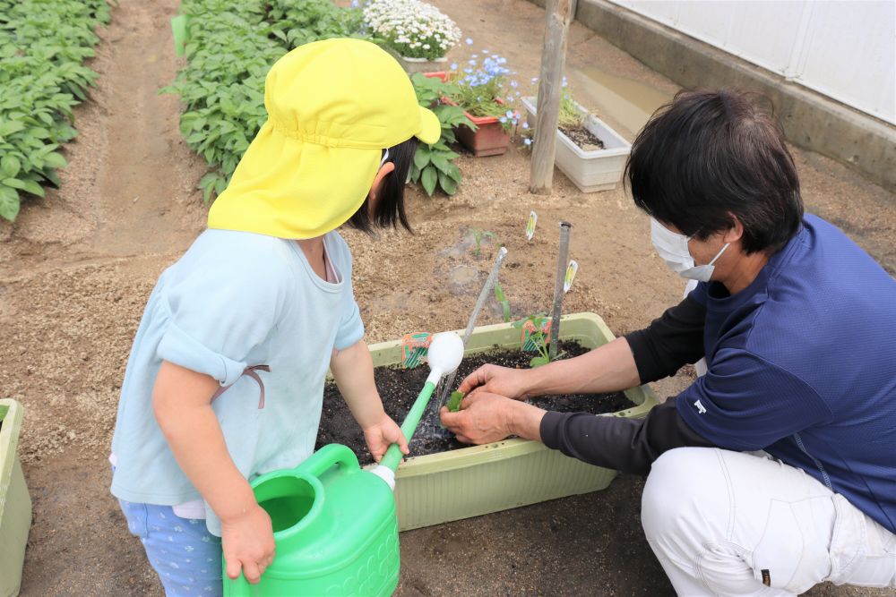 最後にたっぷり水をあげて完了

元気に育ちますように