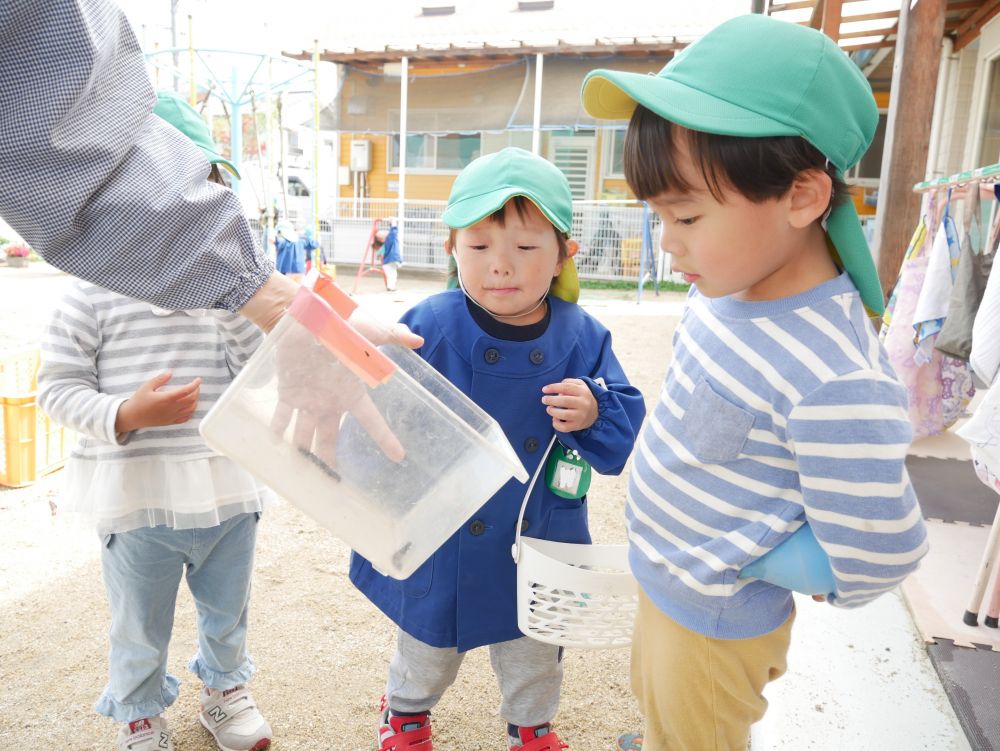 触ってみたいけど・・・
ちょっと怖いKくんとＳくん
でも気になるので何度も見てしまうね♡