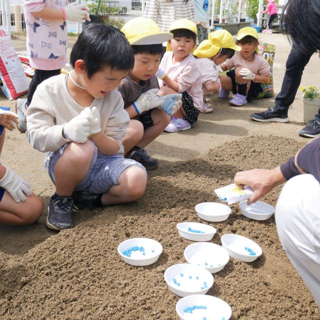 ＊　5歳児　菜園活動②　（ゆめはうす認定こども園）　＊