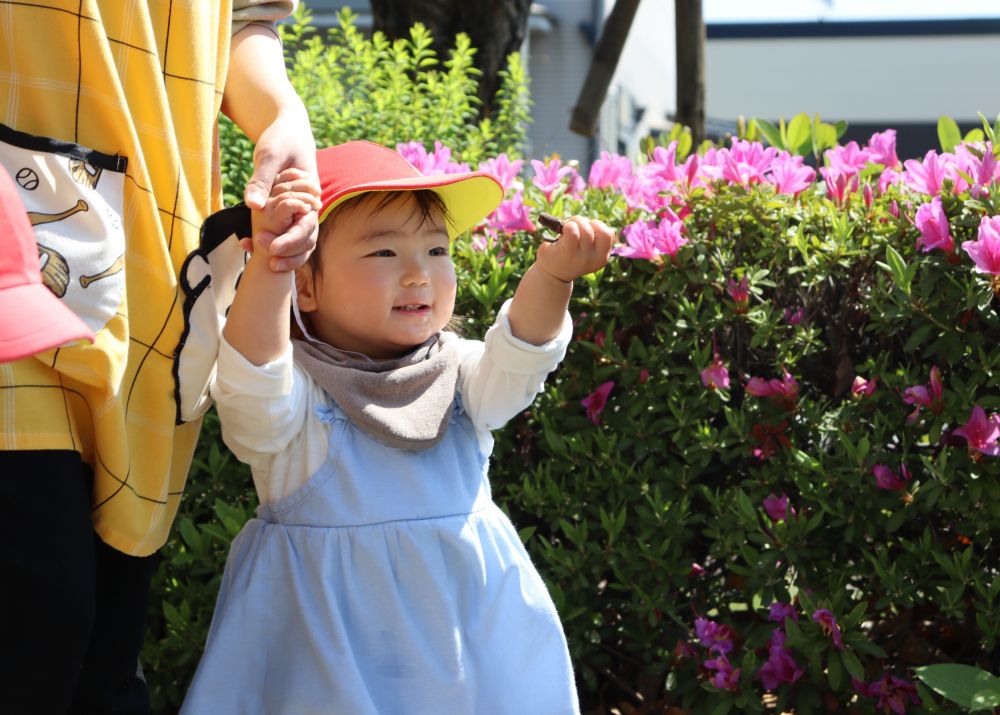 いい天気☀
こんな日はやっぱりお散歩が最高☆



東尾道公園にやって来たヒヨコ組さん
キレイに咲いたツツジがウキウキ気分を高めてくれます
