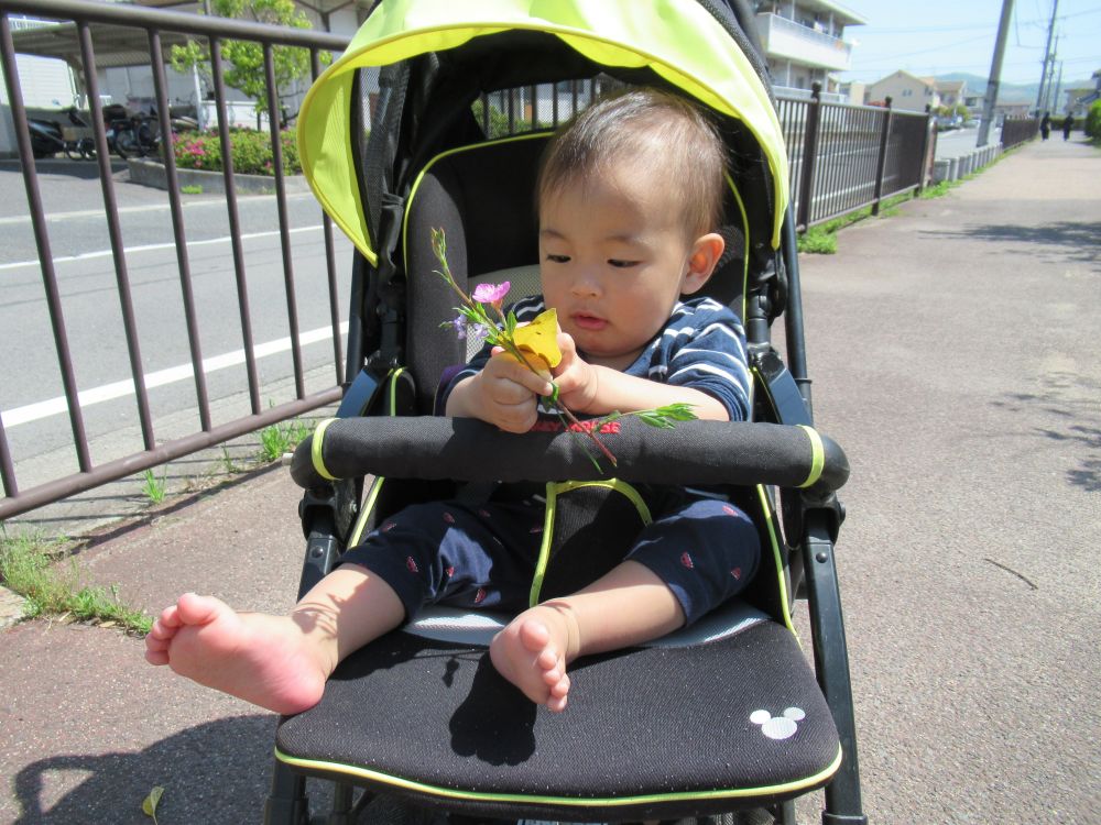 天気が良い日
ヒヨコ組さんたちと一緒に東尾道公園にお散歩に出かけました
はじめは、どこに行くか不安そうでしたが出発すると、ベビーカーからキョロキョロ身体を動かしながら周りに興味津々のYくん
風がふくととても気持ち良さそうに微笑んだりご機嫌にお話ししたり、お散歩中見つけた草花や落葉の感触に触れお散歩を楽しんだよ♡
また、皆と一緒にお散歩に行こうね♪