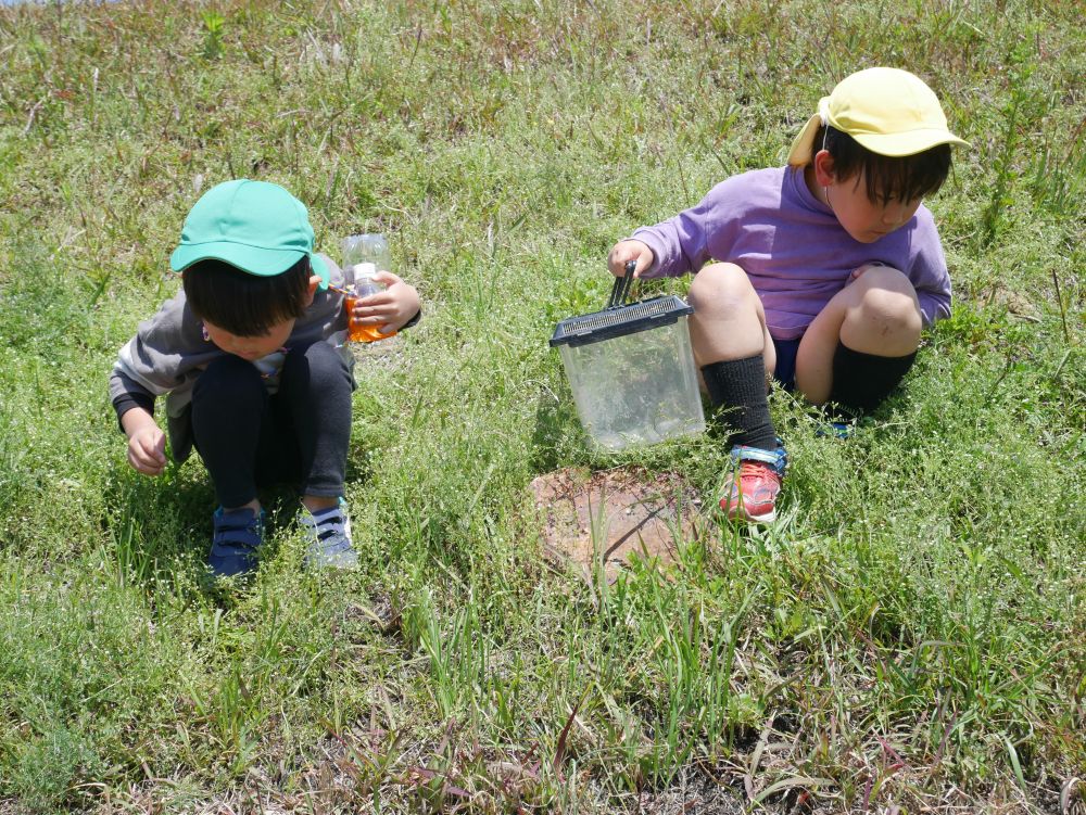 虫が大好きなNくんとKくん
草むらを眺めながら虫探しに必死です