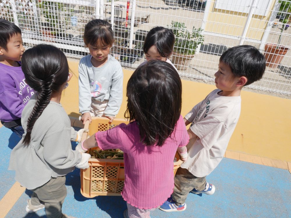 給食室に運ぶのも自分たちで…
「誰か手伝ってー！！」
「次はこっち」「もう一人いるよ！！」
走って友達を助けに行きます

みんなで声を掛け合い協力して
運ぶ姿に成長を感じます♡
