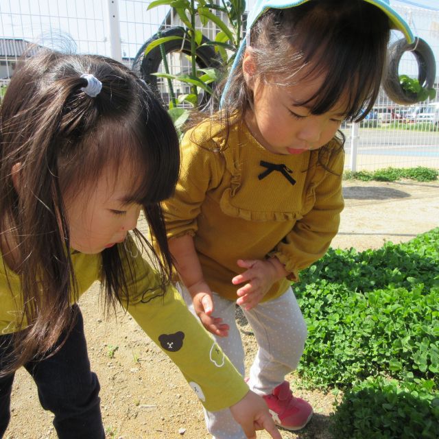 ＊　２歳児　おもしろいもの見つけた！②　＊