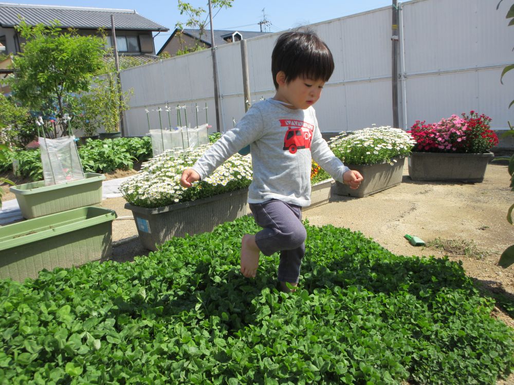 草むらを裸足で歩くUくん！
草の感触が気持ちいいいね