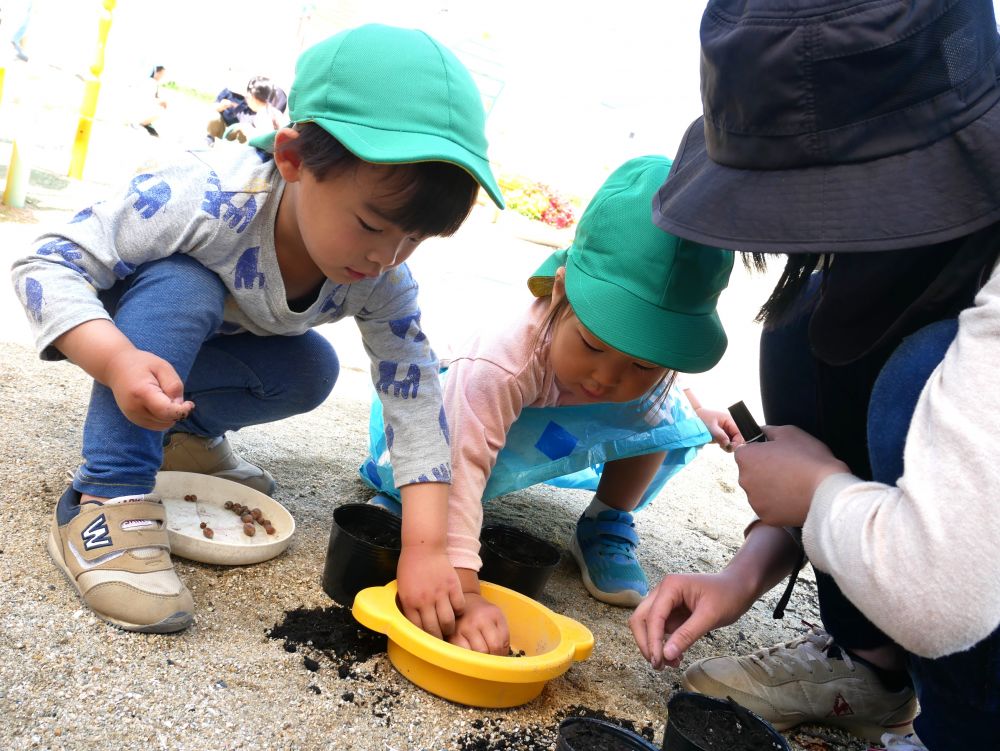 種を植える時・・・
どんな花が咲くのかな？
期待や楽しみが大きい子どもたち
ワクワク♡ドキドキしながら植える姿がみられます



夏を楽しみに朝顔の種を植えるKくんとＳちゃん
そっとひとつずつ種をとって大事そうに植えています