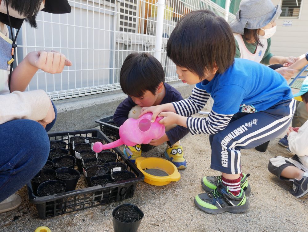 『お水あげたらお花が咲くの？』
『お水かかって気持ちよさそう』
夏が楽しみだね♡