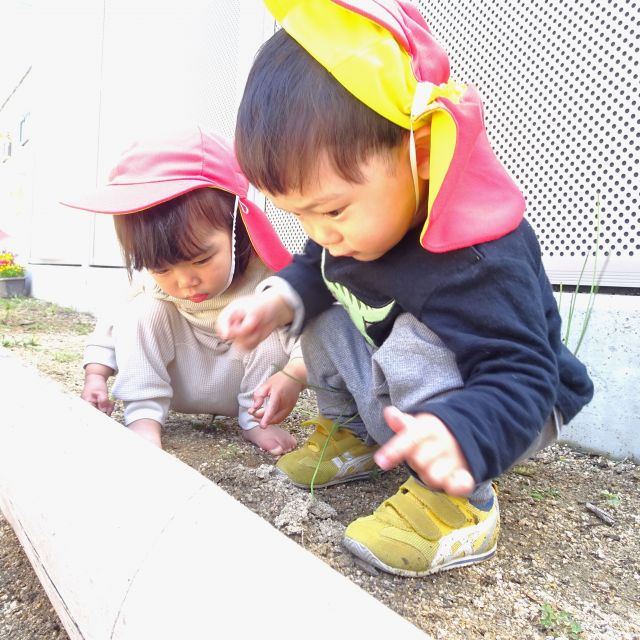 ＊　１歳児　ダンゴムシみーつけた！　＊