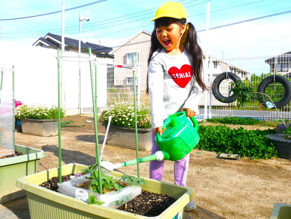 夏野菜の収穫が待ち遠しいＹちゃん
「いっぱいあげよ～♪」
水をあげながら観察を楽しんでいます♡