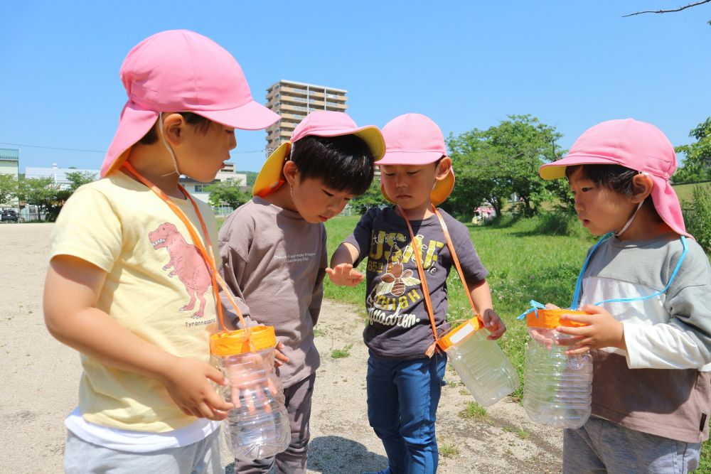 「見て～！てんとうむしおった！」
Iくんの腕を、てんとうむしが登っていきます
それをのぞき込む3人！

友達と発見した虫を共有する♡