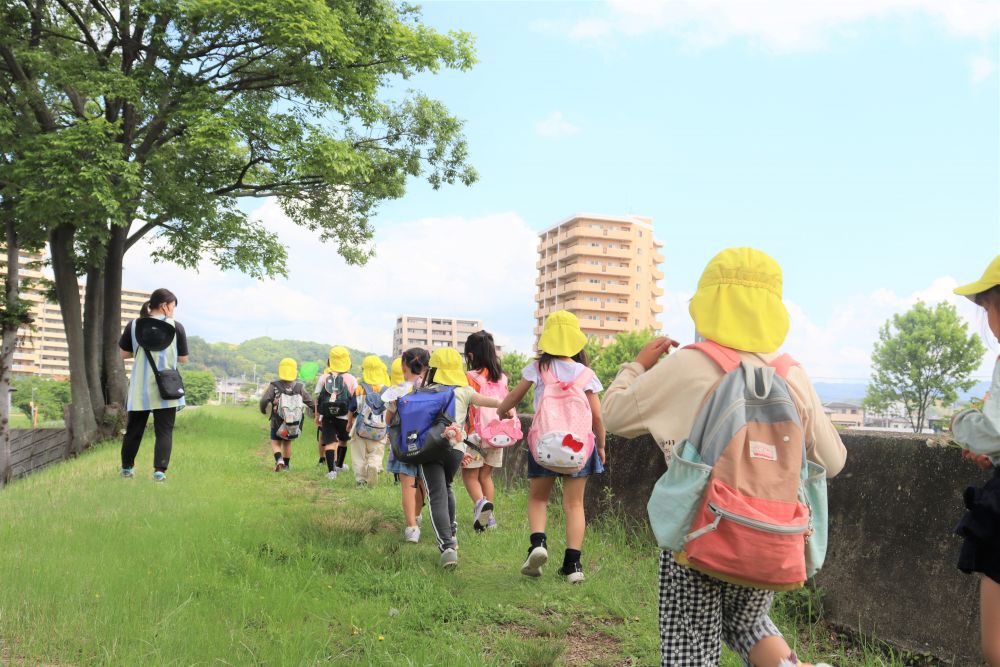 今日は自然保育アドバイザーの菊間先生に来園してもらい５歳児キリン組さんと普段の散歩コース、黒崎水路からシニアカフェに行きました

「散歩」とは・・・目的地に向かって歩くだけではなく、途中で出会う様々な事をみんなで共有しながら、楽しみながら過ごす時間
普段の散歩を見直すきっかけをもらいました