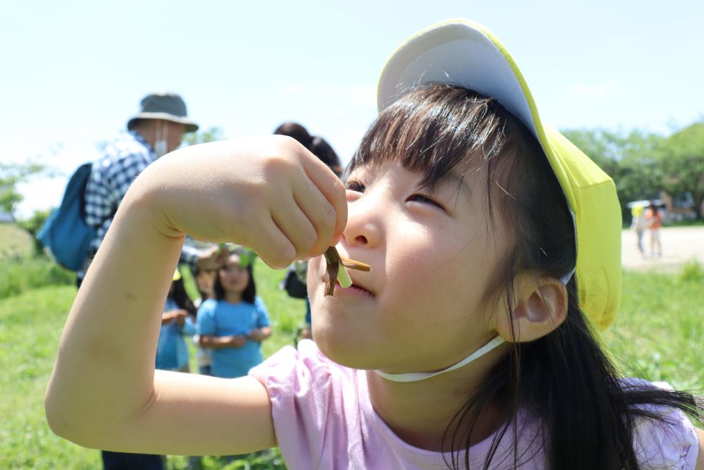 皮をバナナの皮のようにむいて、パクリ♡
食べ真似をしてくれたMちゃん

発想しだいで遊び方がドンドン広がります