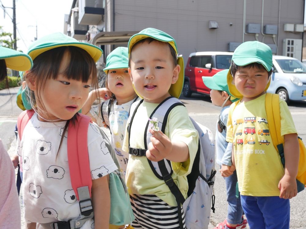 『このお花可愛い？持って帰ろうかな♪』
『いいね♡』
草花を大事そうに握りしめゆめはうすまで帰ったSくんでした