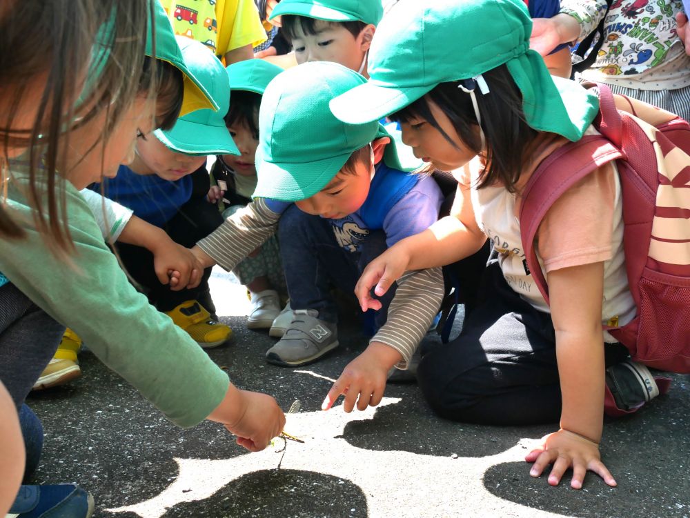 『ちょっと待って！』
『トンボじゃ！動いてる？』
『生きてる？大丈夫？』
心配そうにトンボを見つめるみんな・・・

大人では気が付かないようなことにも気が付く子どもたち♡