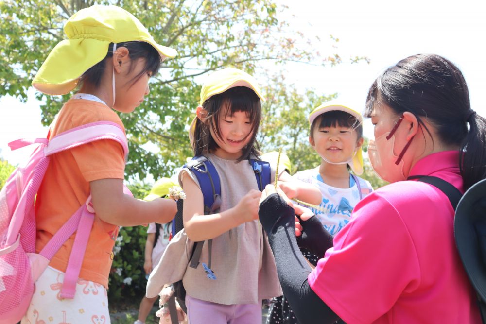 帰りはもちろん道草

先日、自然保育アドバイザーの菊間先生に教えてもらったオオバコという雑草を使ってのお相撲
を楽しみました
