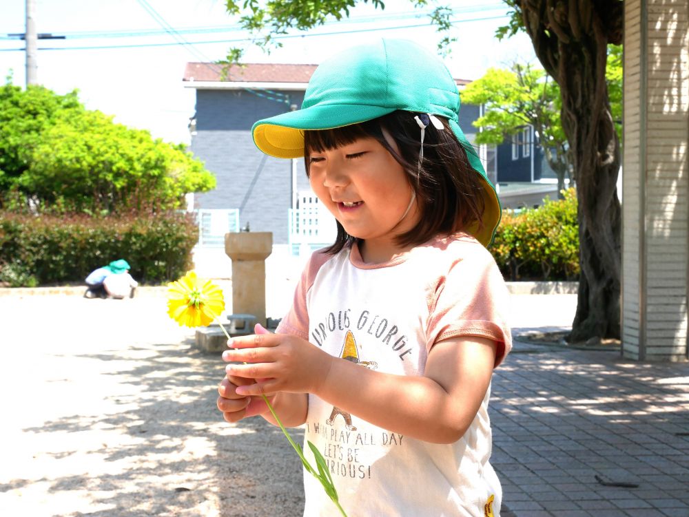 可愛い草花があったら集めたくなる様子の子どもたち
可愛いな・・・　キレイだな・・・
それぞれの子が様々な感性を持っています


『この花可愛い！持って帰りたい』
公園の近くでお花を見つけたＹちゃん
