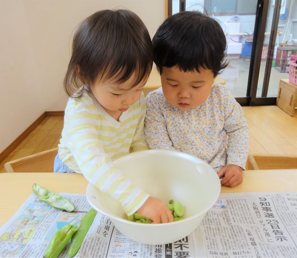 毎月19日は【食育の日】です。
園ではいろいろな食を通じての活動をしています。

今月は旬の食材、そら豆とグリンピースに触れました☆

リス組さんからキリン組さんまで、そら豆を触って観察して、皮を剥いてみました。

小さいクラスも小さな手で大きなそら豆を一生懸命剥きました。
初めて見たのかとっても珍しそうにそら豆を覗き込みます！！