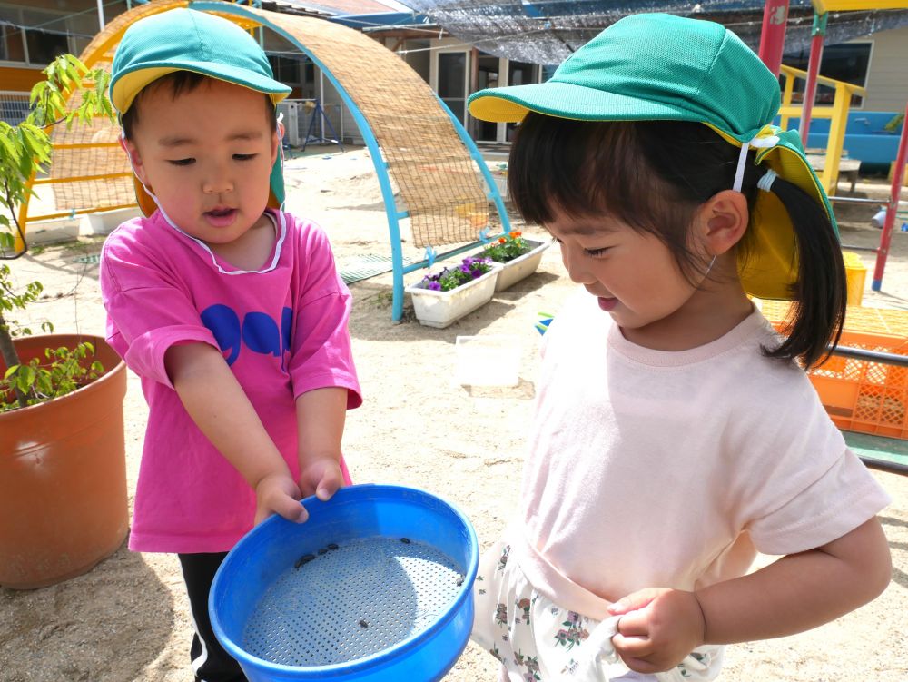 友達と一緒に遊ぶ中で・・
喜びを共感する嬉しさを感じるリス組さん



『いっぱいダンゴムシおったね』
『こんなに見つけたね～』
SくんとSちゃんが一緒に見つけたダンゴムシを眺め満足そう♡