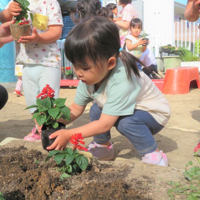 おはな、いっぱいになぁ～れ🌼