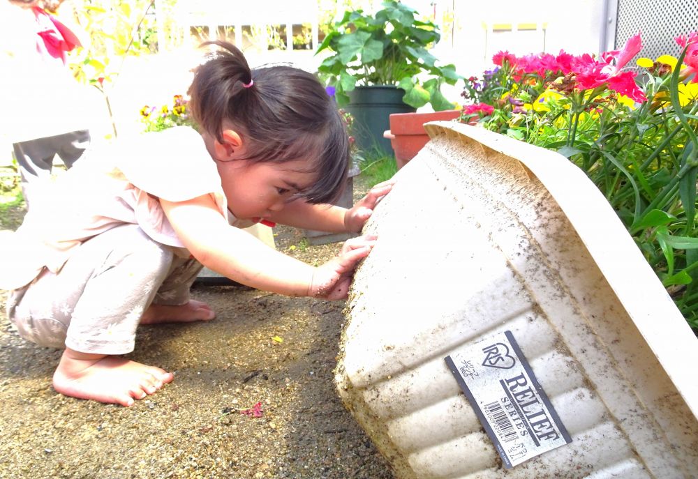 ‶やってみたい″遊びがどんどん増えるヒヨコ組さん
この瞬間、みんなの目はいつもキラキラと輝いています



園庭に出るとすぐにプランターのもとへ向かうYちゃん
『ダンゴムシいるかな・・・』
ワクワク・ドキドキしながらそーっと持ち上げて
真剣にダンゴムシを探す

日々の遊びから、ダンゴムシのすみかを学んだね