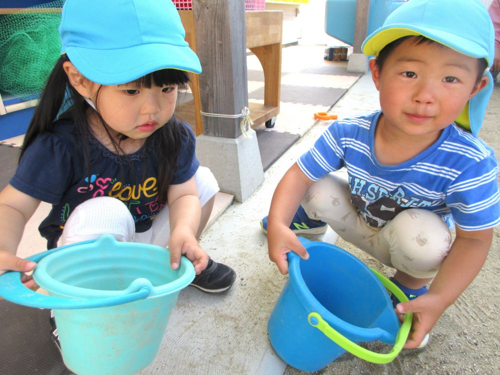 同じ園庭・・　同じ場所・・　同じバケツを持っていても、子ども達はそれぞれ違う物に魅力を感じているようです


『Ⅿちゃん！何あつめてるの？』
『・・・』
恥ずかしそうにうつむくⅯちゃん

『Kはね、ダンゴムシとアリだよ！』
『このダンゴムシはお母さんので、これは姉ちゃんの、これはKの』

K君のバケツの中をそっと覗くⅯちゃん…

Ⅿちゃんのバケツの中を見て地面を探すK君…
『Ⅿちゃんこれいる？』
『うん…』　Ⅿちゃんが集めていたのは小さな石
K君が入れてくれる石に嬉しそうに微笑むMちゃん
