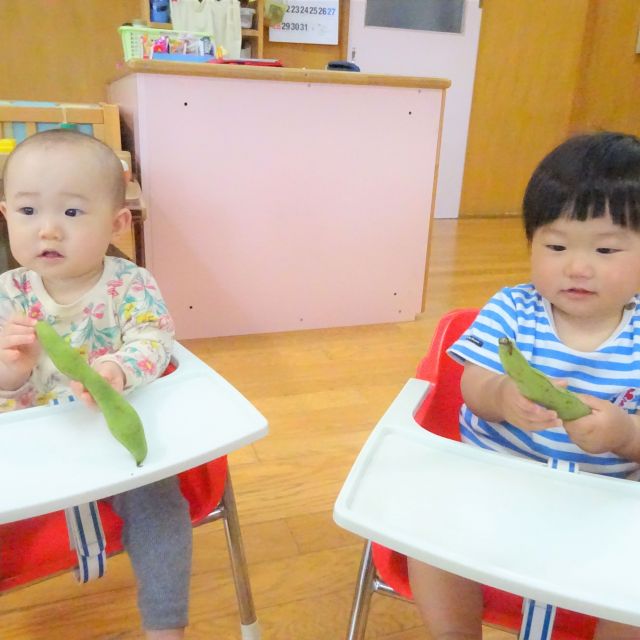 食育の日(そらまめ)　～０歳児　ウサギ組～