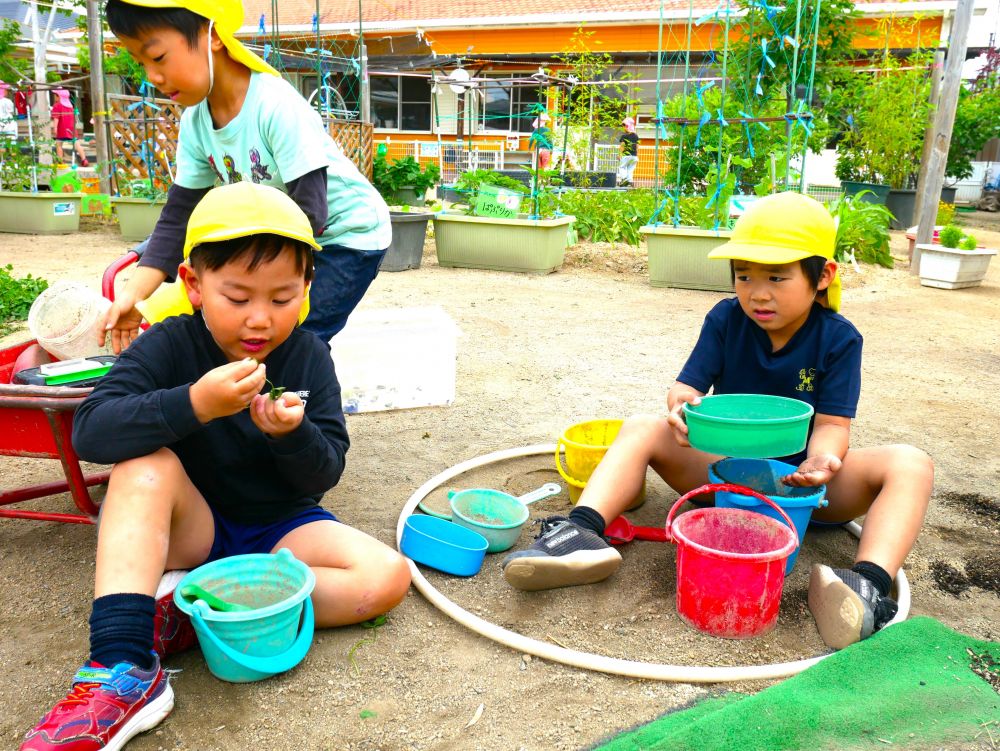 想像力を膨らませ…
それぞれが自由に表現し　なりきって遊ぶ事を楽しむ



「いらっしゃいませー」
「たこ焼き作ってまーす！！」
砂や草花、水を使ってたこ焼き屋さんをしていた男の子