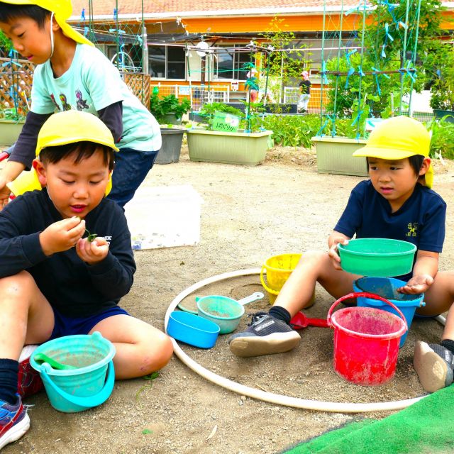 ＊　５歳児   　たこ焼き屋さん①　＊