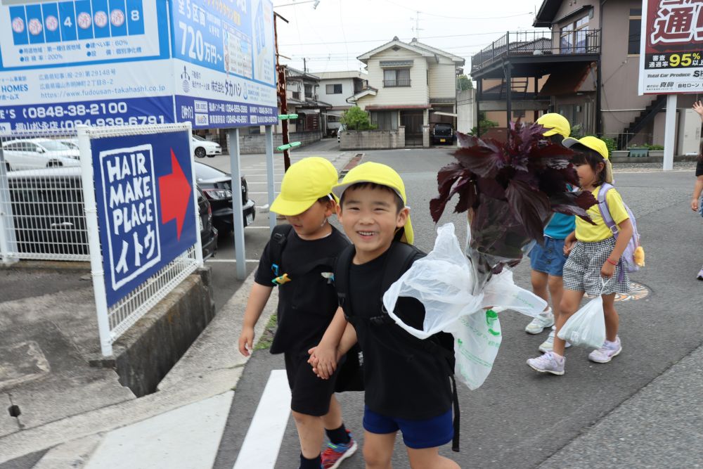 おまけで買ったシソを持って帰る
Ｋ君「マラソンランナーってこんなん持っとるよね」
聖火ランナーをイメージしているようです