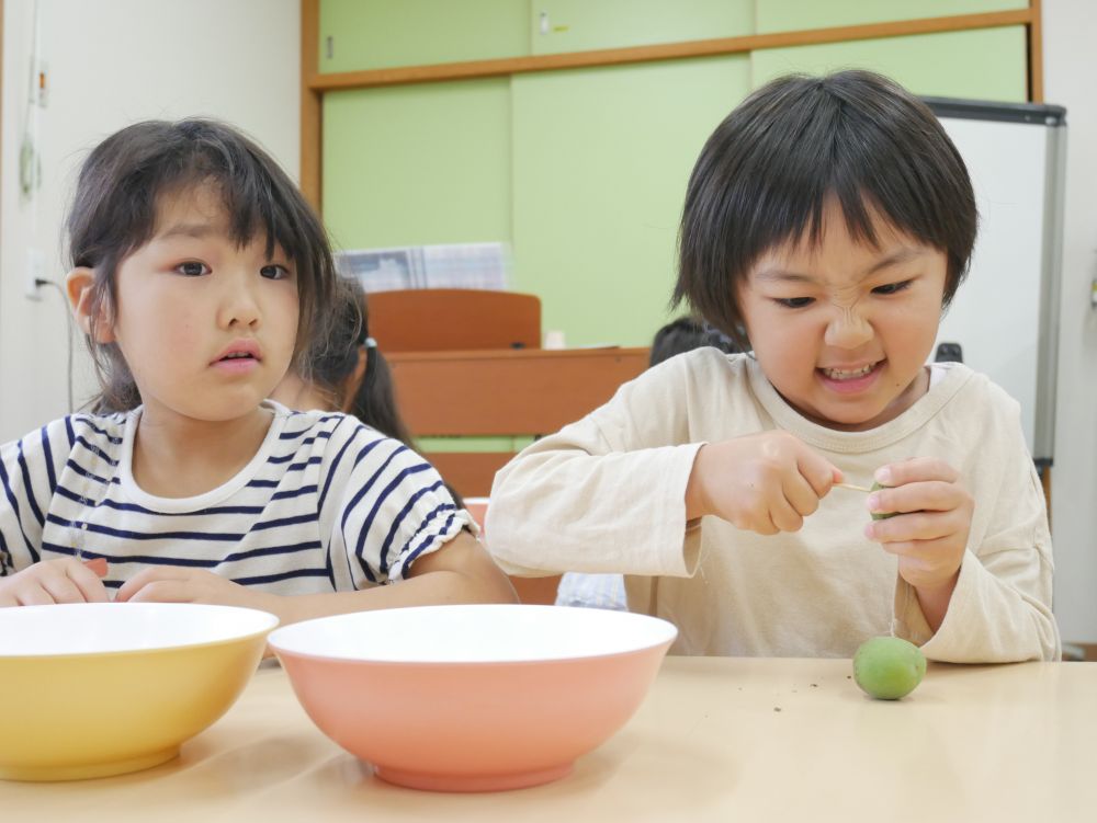 「おりゃ～」　
力をこめるAちゃん♪
とってもいい表情です♡

「なんか匂いがしてきたね！！」
梅の匂いにみんなのテンションもあがります