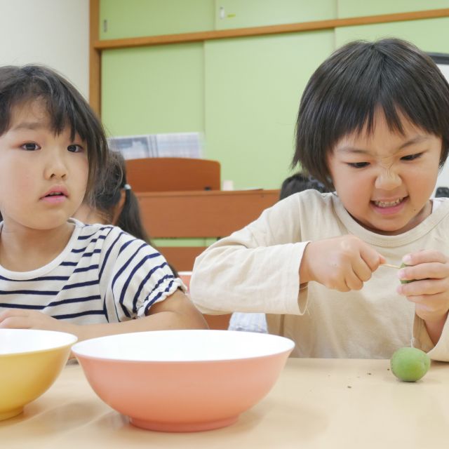 ＊　5歳児　梅シロップ②　＊