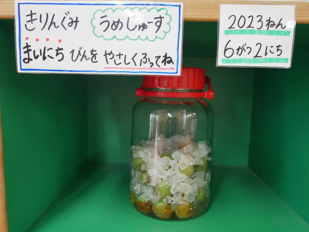 後は毎日梅を混ぜていると完成♡

Yちゃん　「お当番さんが毎日混ぜるはどう？」
みんな　「いいね～♡」
自然とみんなで約束事を決めていました♪

出来ていく過程をみんなで観察し楽しみたいです♡