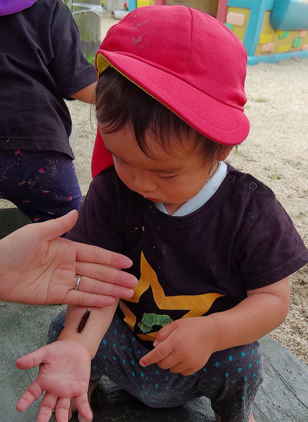 幼虫を手にのせてみたYくん
どんどん腕を登ってくるのを面白そうに見つめています


「くすぐったい！」
登ってくる感触にビックリ！
身体で幼虫の感触をたのしみました♡
