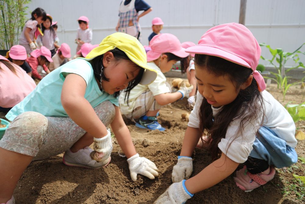 「じゃがいもってカレーにも入っとるよね」
「ポテトサラダもじゃない！？」
「ポテトチップスがいいな～！」

じゃがいもが入っている料理を考えながら…
食べたくて楽しみな気持ちが止まらない♡