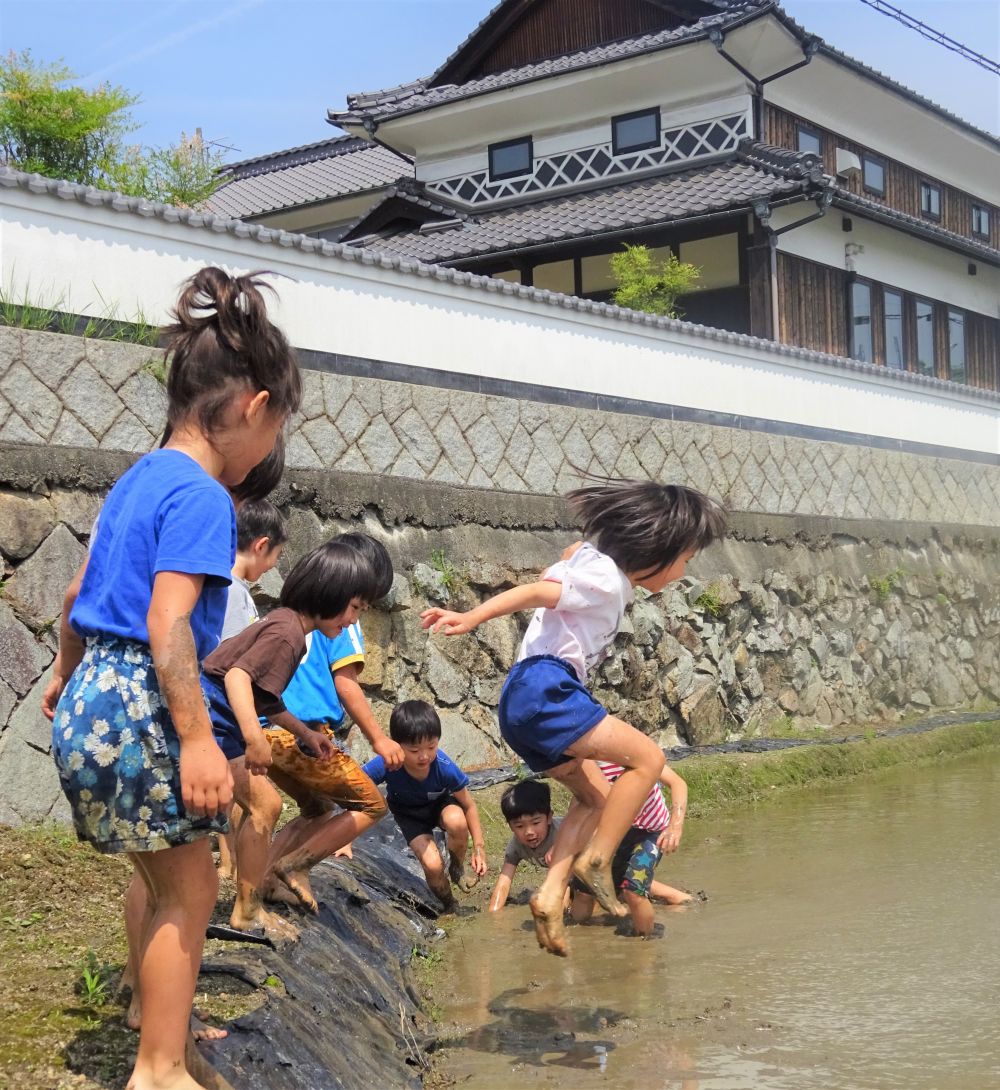 苗をどんな風に植えるのかドキドキしながらグ～っと田んぼに植えていきます。

｢せんせーこれであっとる？｣
『じょうずじょうず♡』

何本か苗を植えた後は・・・
お楽しみのどろんこ遊びです！！