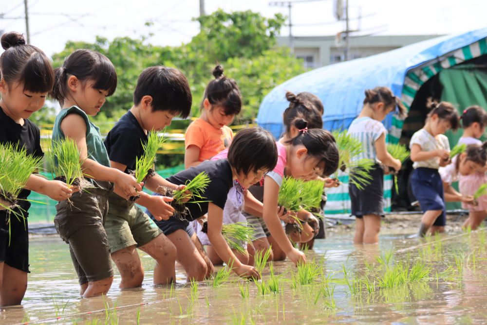 東尾道駅の裏にある「村上さんの田んぼ」
今ではなかなか出来ない「田植え」の体験をしました



当初は昨日6日の予定でしたが、雨天で7日になりました
いい天気になってよかったね☆